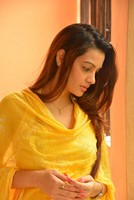 Diksha Panth Latest Photo Stills